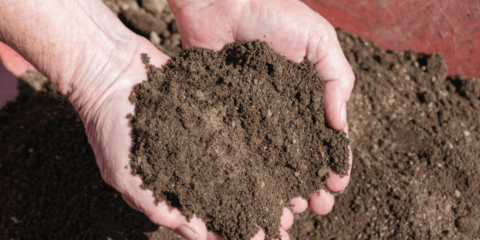 A hand holding a sample of rich, crumbly topsoil ideal for vegetables
