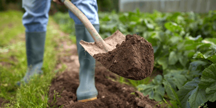 What Is Topsoil Used For ,I am adding topsoil to a garden bed.