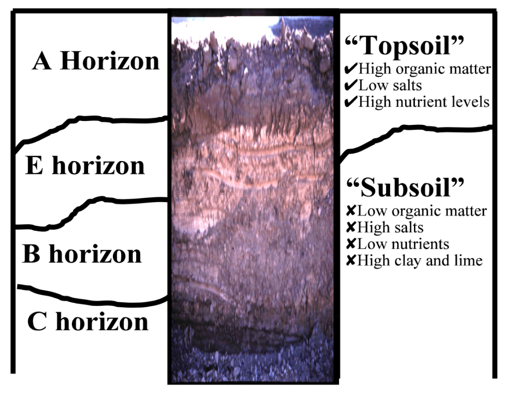 What is topsoil diagram
